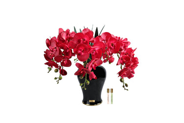 Imperial Orchid - Scarlet - IMPO14 (Carton of 1)